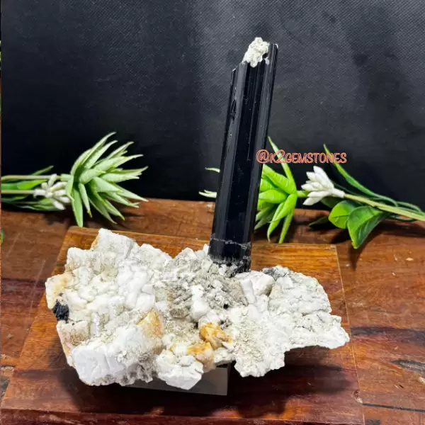 schorl (Black Tourmaline) specimen